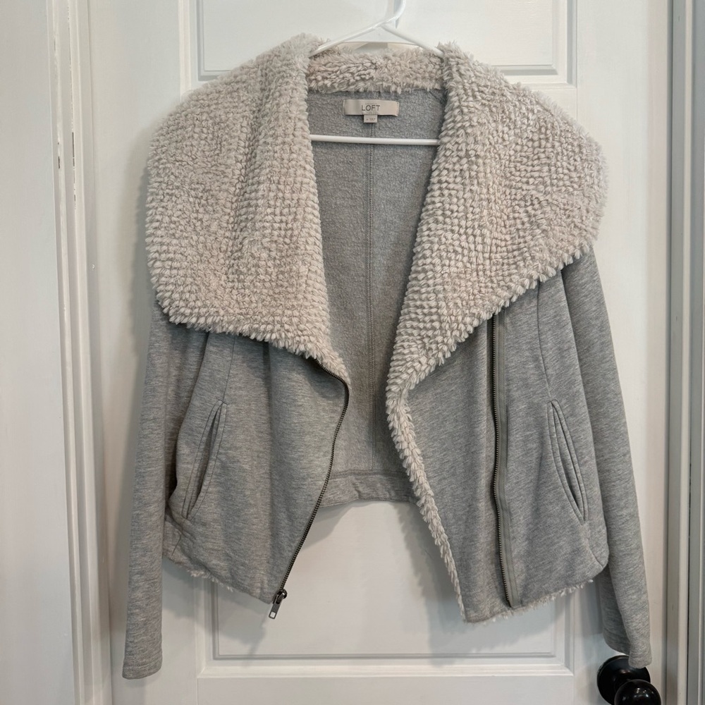 LOFT Light Gray Teddy Collar Jacket